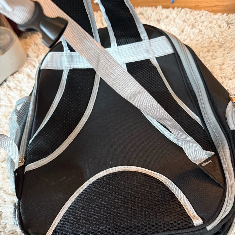Transparent Pet Backpack with Ventilation
